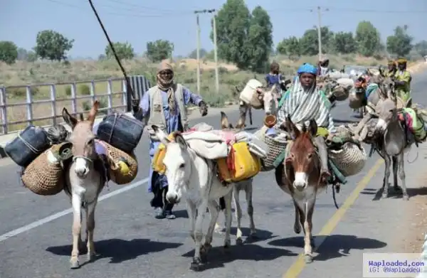 Suspected Fulani Herdsmen Rape Minor To Coma In Benue Community